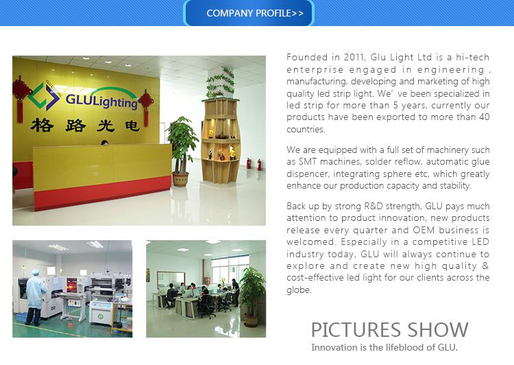 China customized CRI97 10mm one line 180 led/m 2835 flex led strip product-750-532