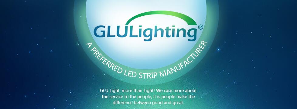 China LED manufacturer 3528 flex led strip 240 leds/m China professional led strip manufacturer.jpg