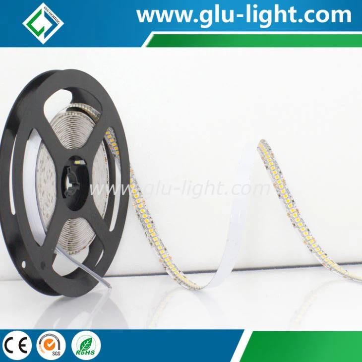 DC24V üherealine suure tihedusega 10 mm 3528 LED-riba 240 LED-i/m 3-aastane garantiiaeg