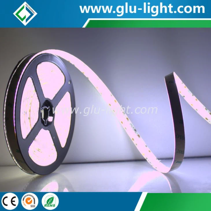 3528 Led Strips 240 leds/m 3 Years warranty